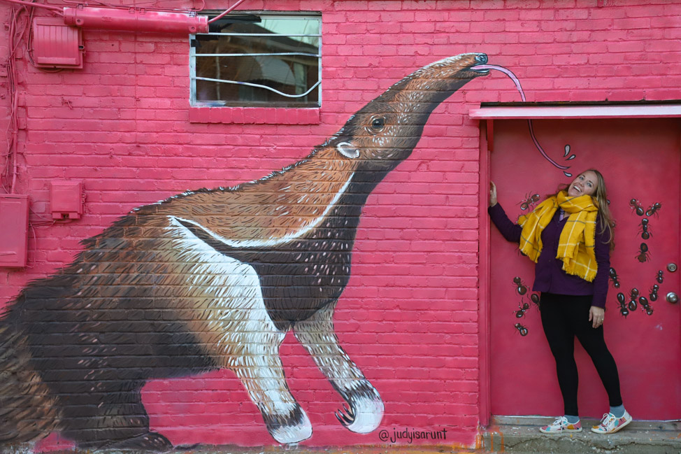 Anteater Mural in Oklahoma City's Plaza Walls