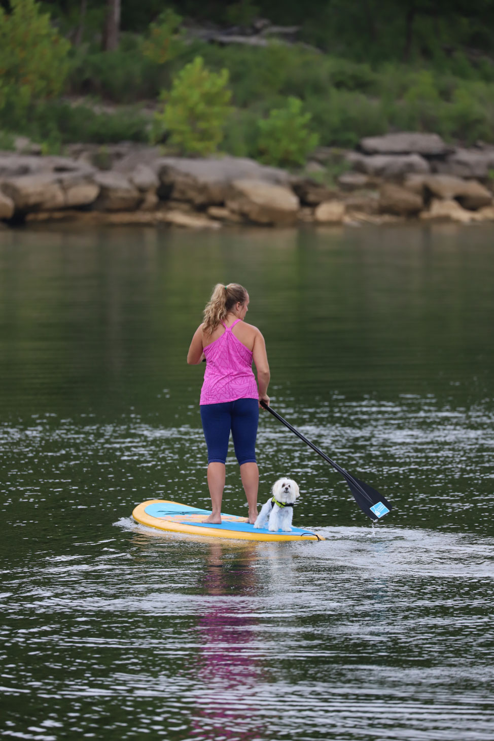 SUP at Center Hill Lake, Tennessee