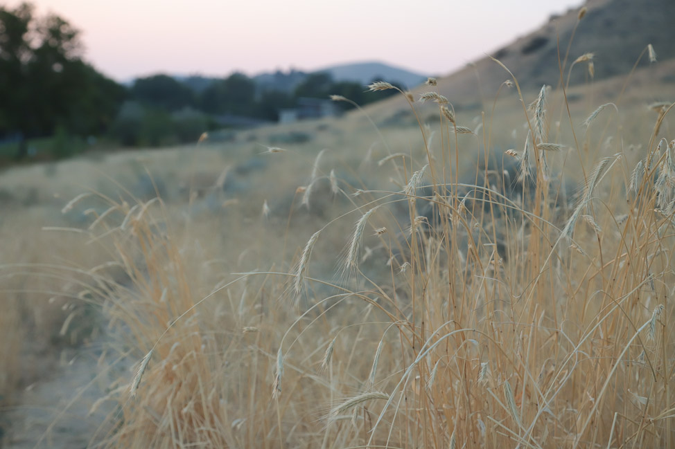 A Long Weekend in Boise, Idaho: Camel's Back Ridge at Sunset