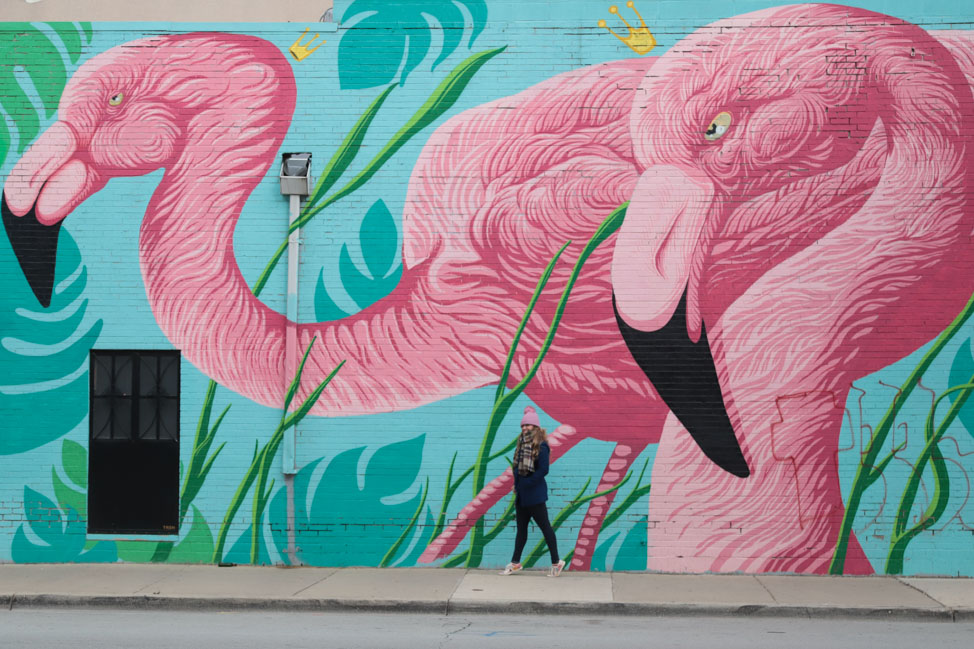 Flamingo Mural in Chicago