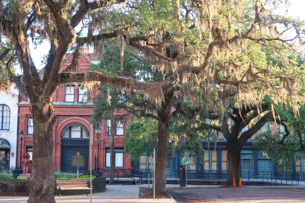 Architecture Tour in Savannah