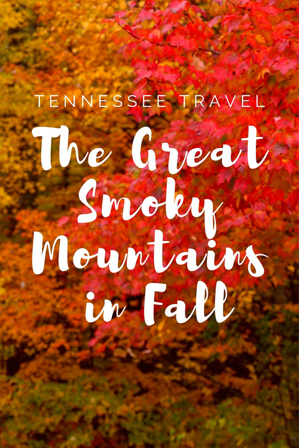 Fall Vacation in the Smokies