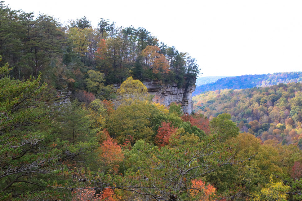 Pogue Creek Canyon in Jamestown, Tennessee