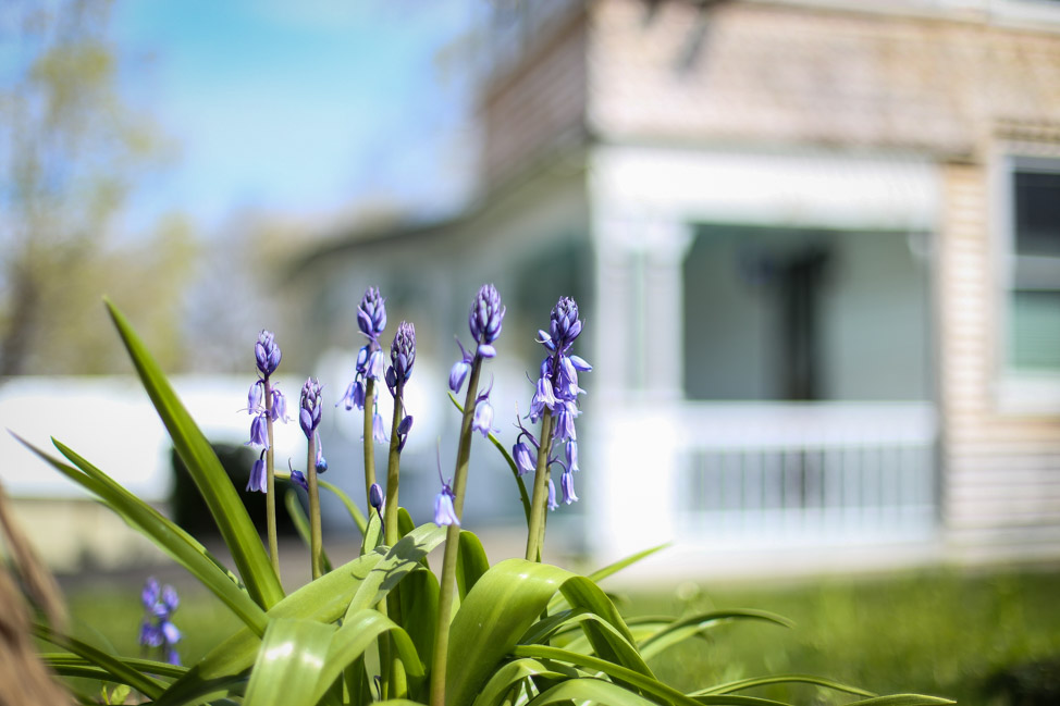 Victorian Home in Tennessee