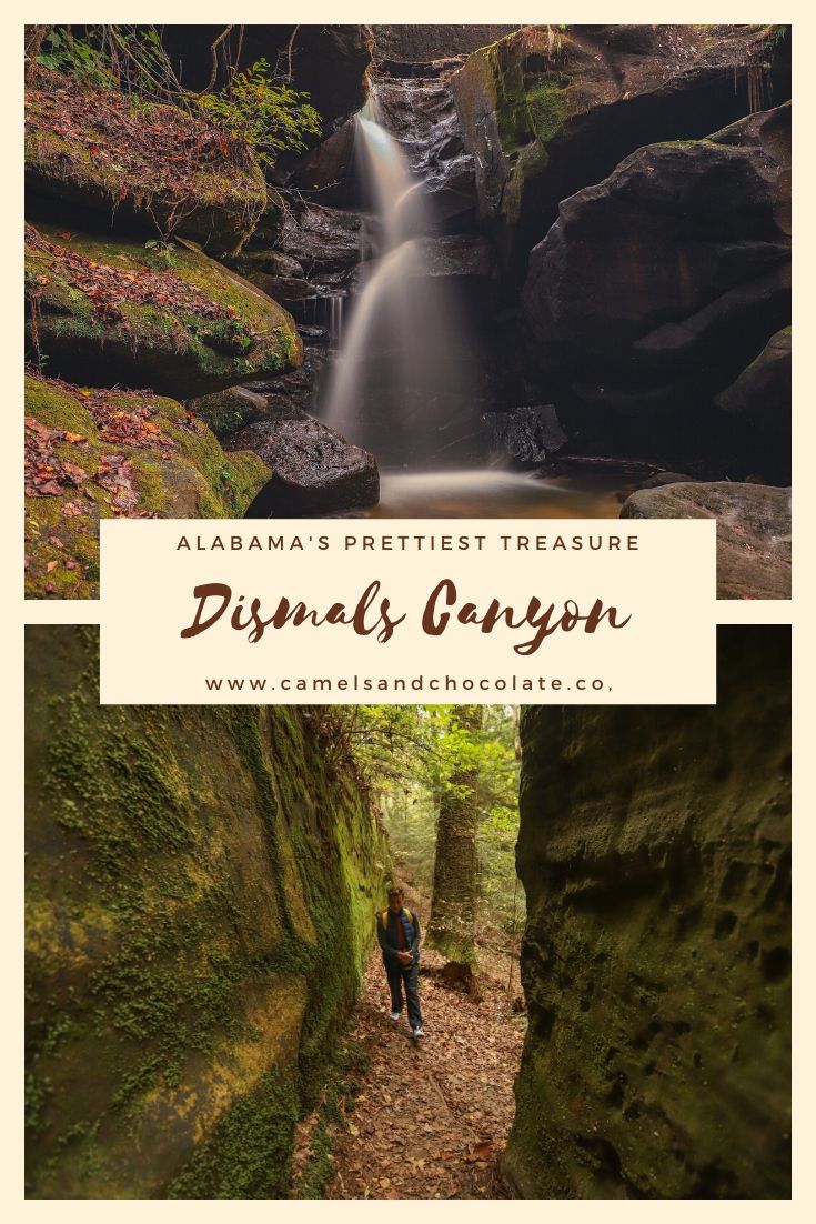 Dismals Canyon Alabama: The Best Hike in the Shoals