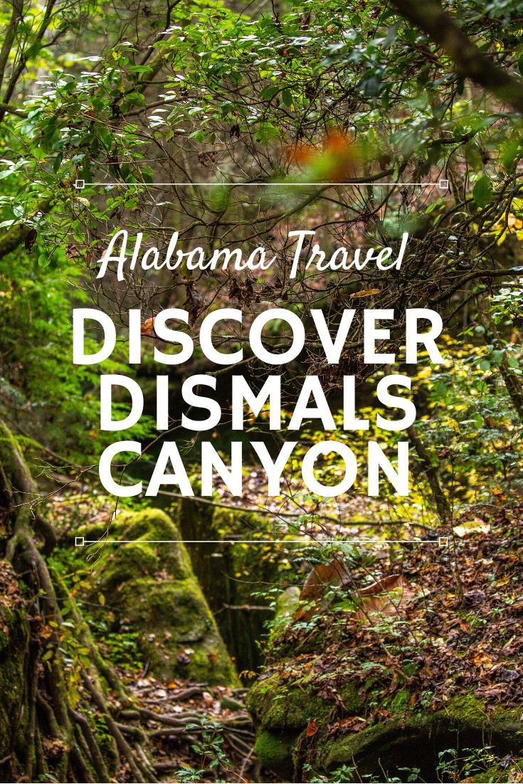 Dismals Canyon Alabama: The Best Hike in the Shoals