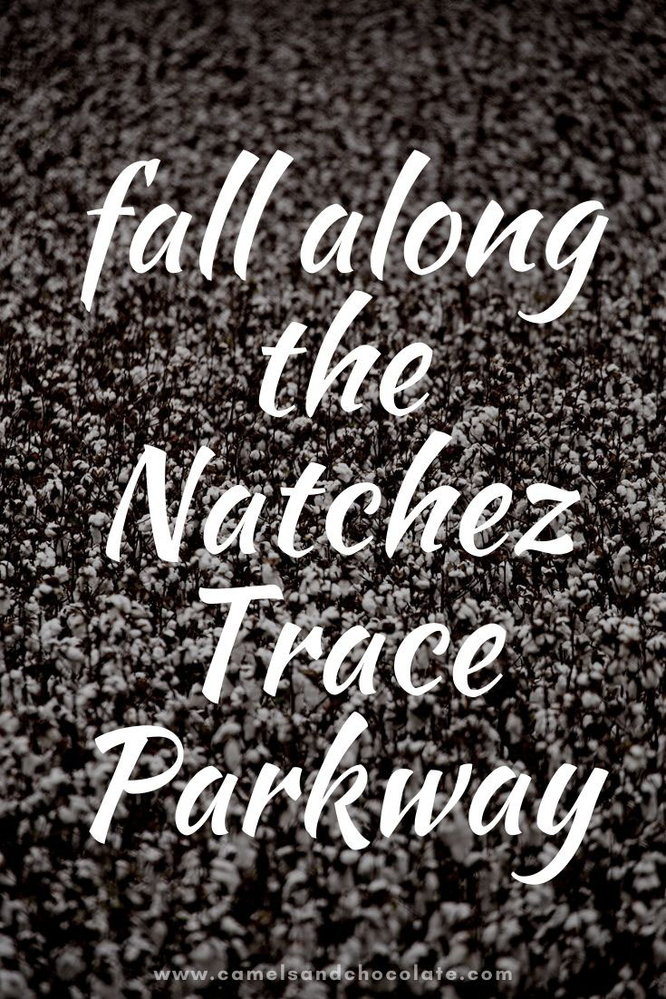 A Guide to the Natchez Trace Parkway in the Fall
