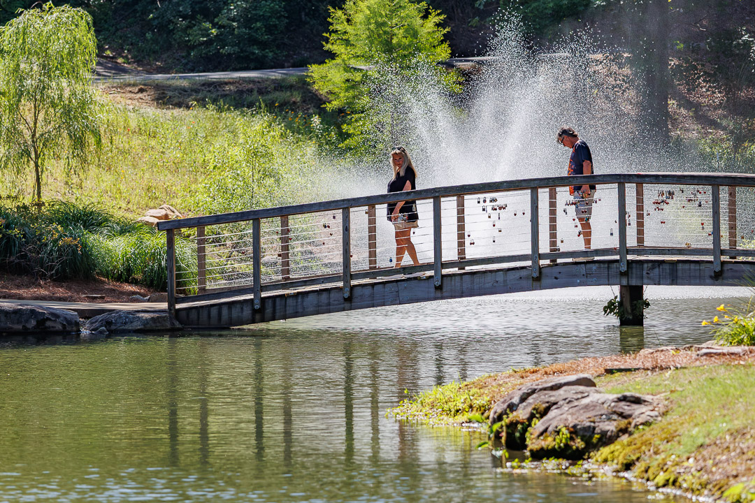 Pond at the Elvis Presley Birthplace in Tupelo, Mississippi