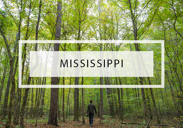 Posts on Mississippi