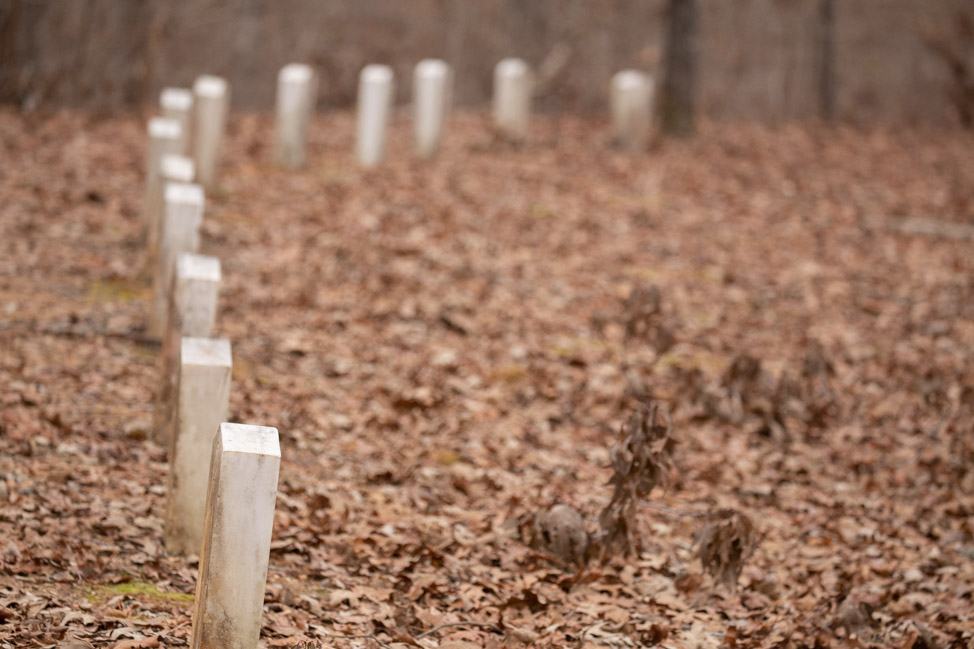 Confederate Soldier Graves on the Natchez Trace Parkway