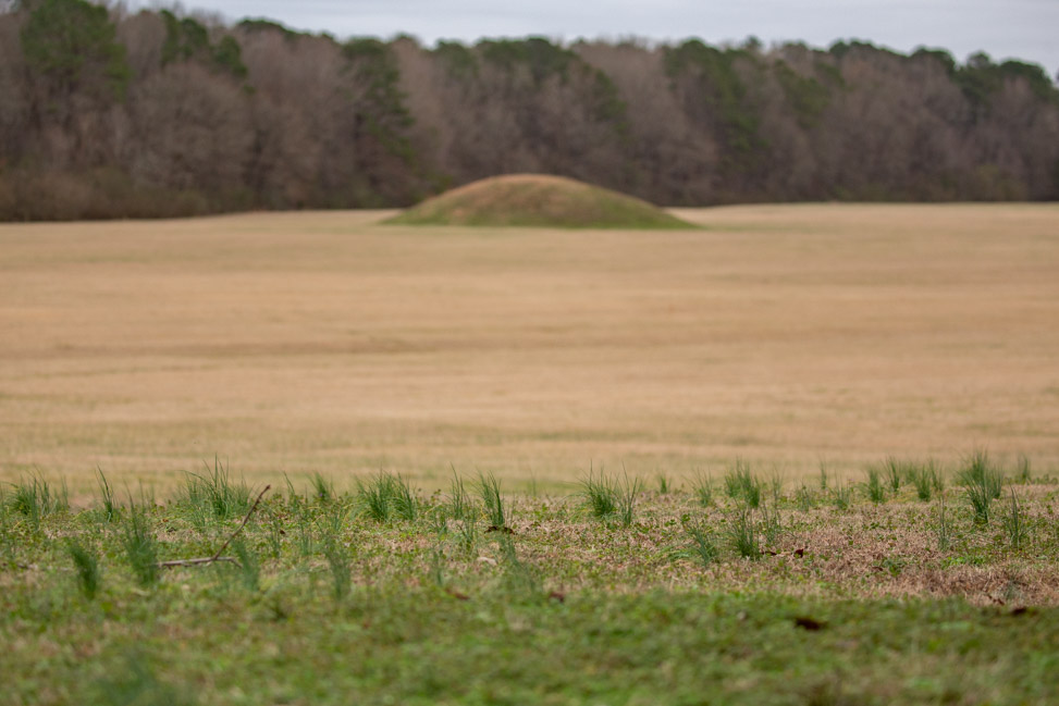 Pharr Mounds along the Natchez Trace Parkway