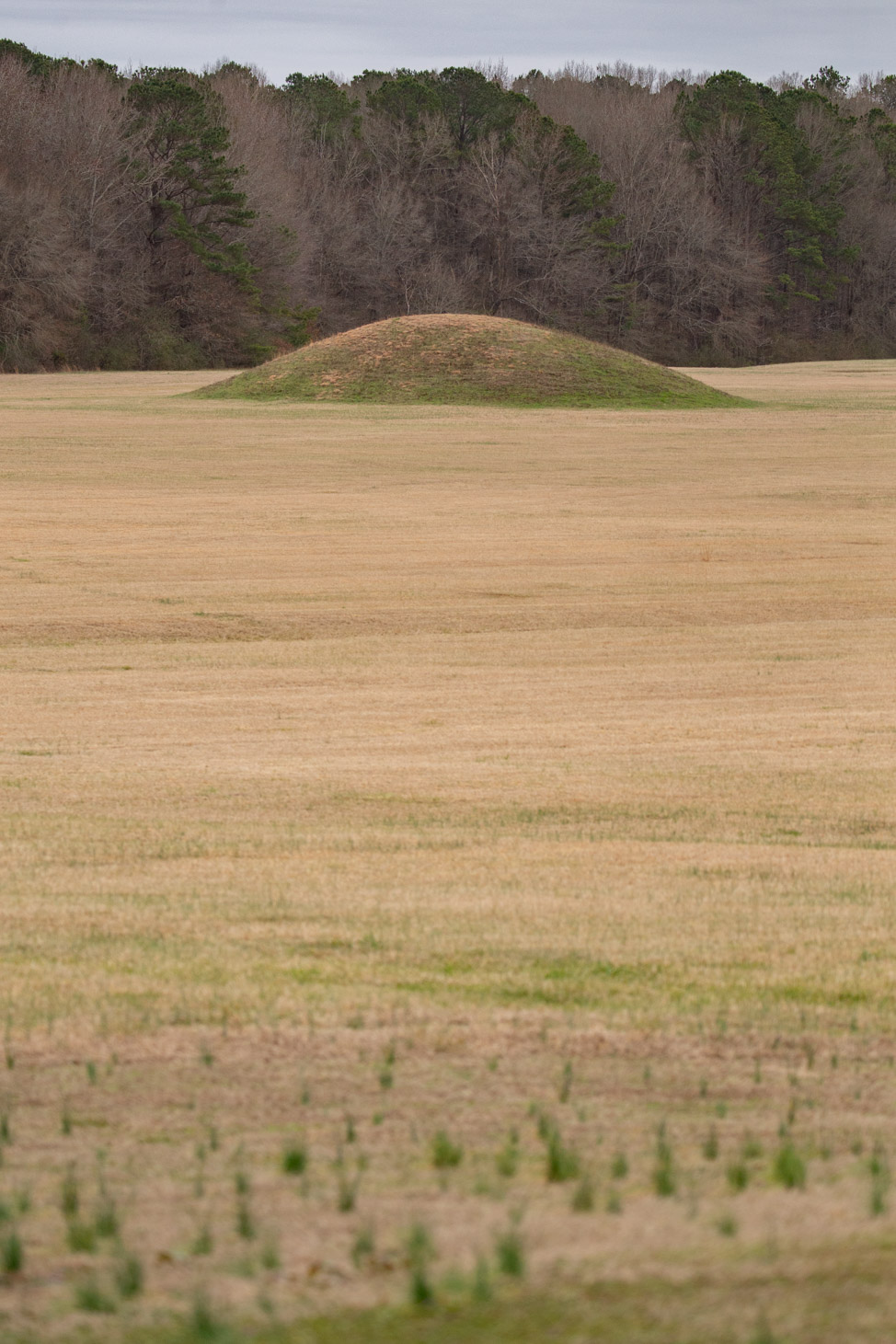 Pharr Mounds along the Natchez Trace Parkway