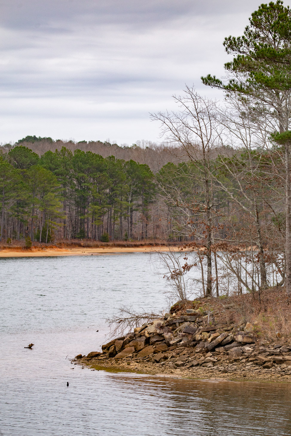 Bay Springs Lake along the Natchez Trace Parkway