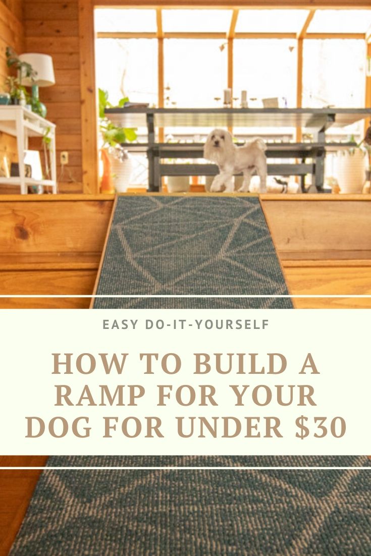 How to build a dog ramp