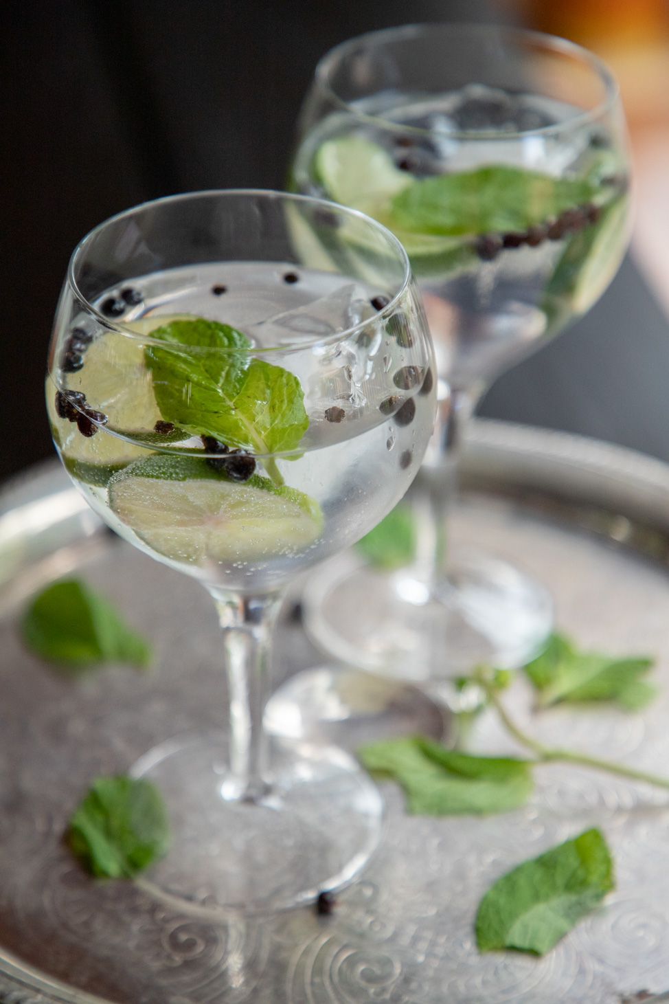 Mint and lime gin and tonic recipe