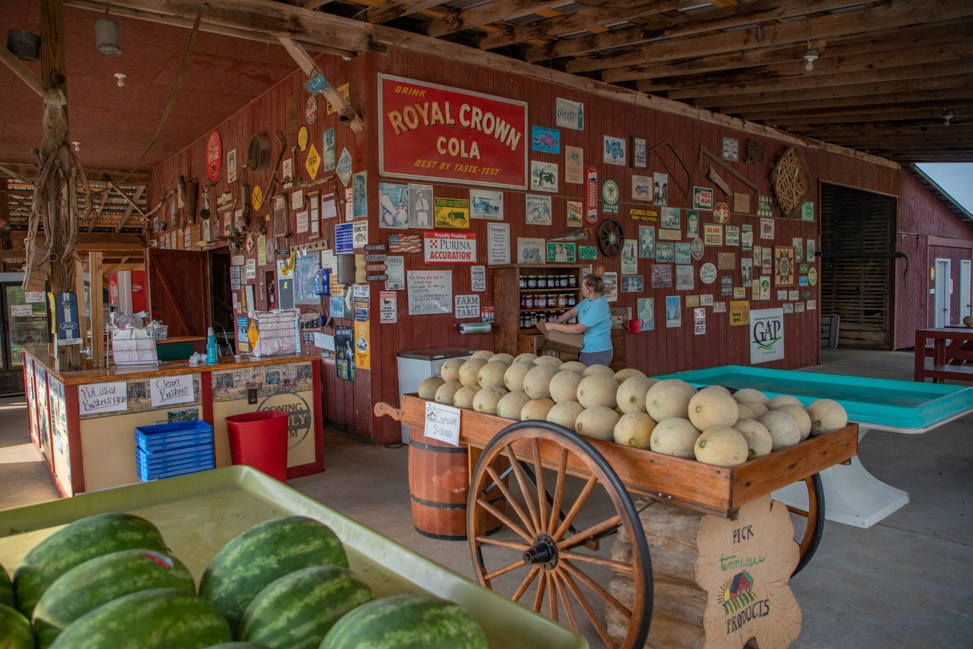 Visit Coning Family Farm in the Smokies