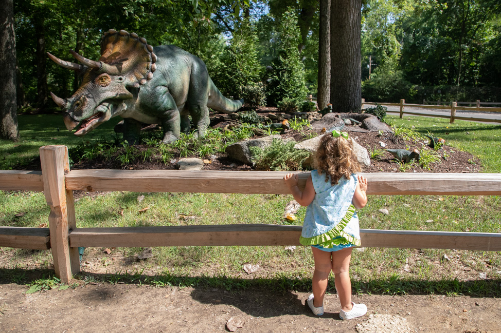 Outdoor Activities in Memphis: Visiting the Memphis Zoo