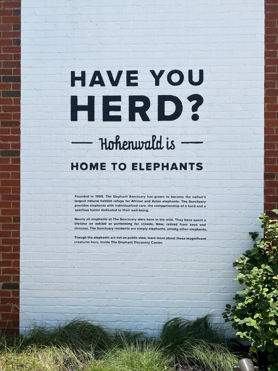 Elephant Sanctuary in Hohenwald, Tennessee