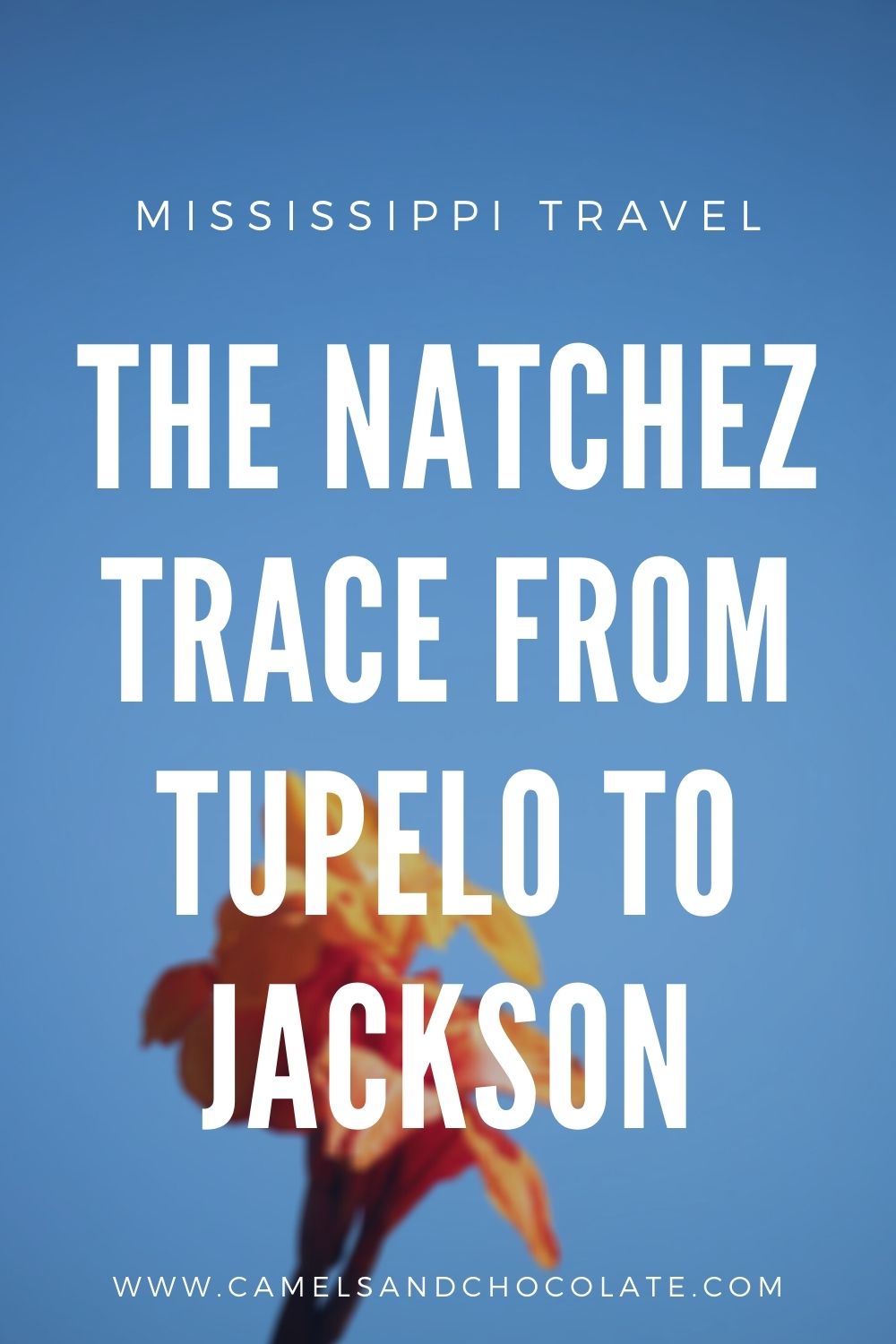 Traveling the Natchez Trace to Jackson from Tupelo