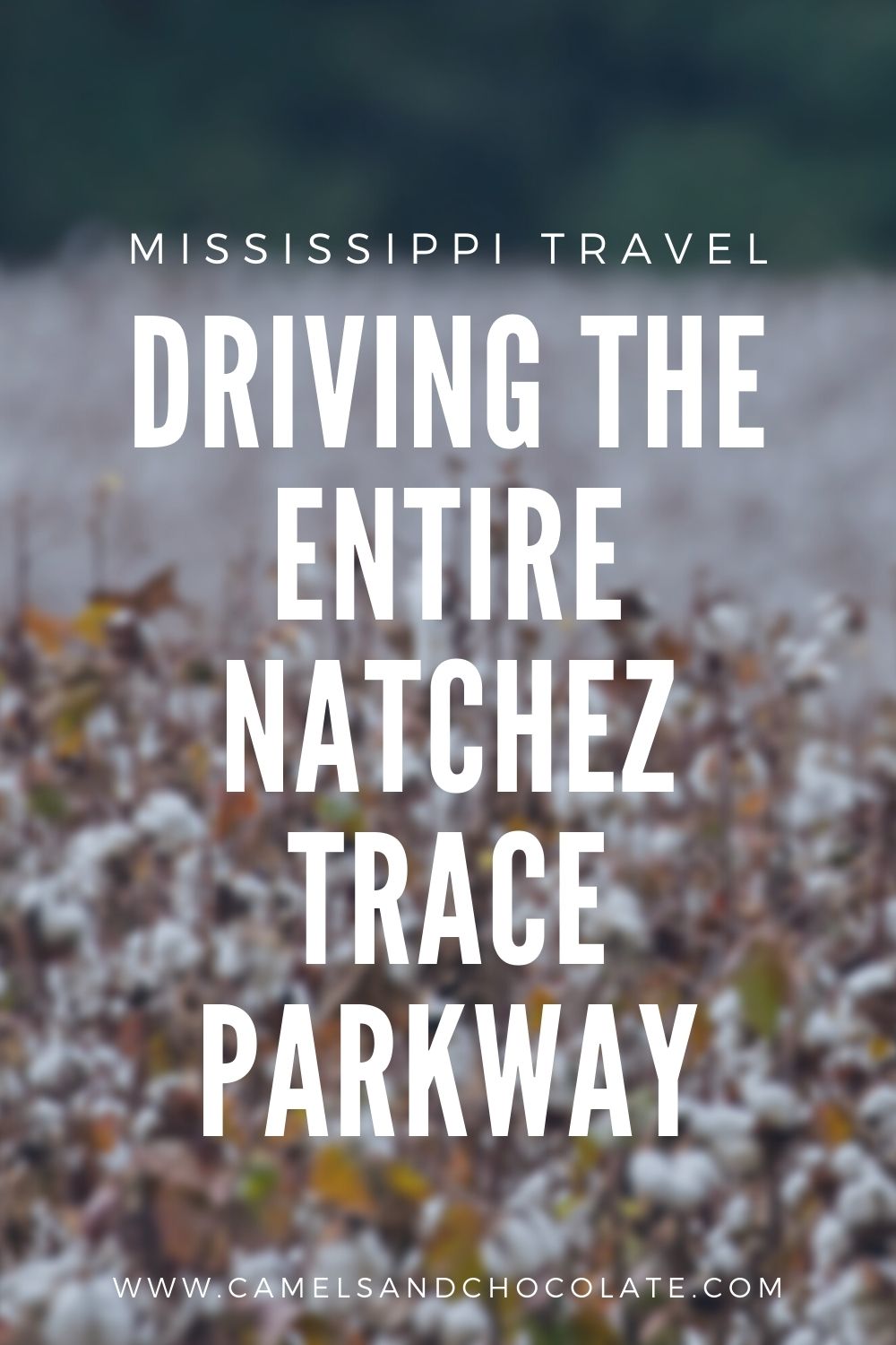 Driving the Entire Natchez Trace Parkway