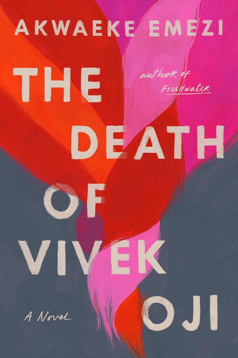 Best Spring Break Reads: The Death of Vivek Oji