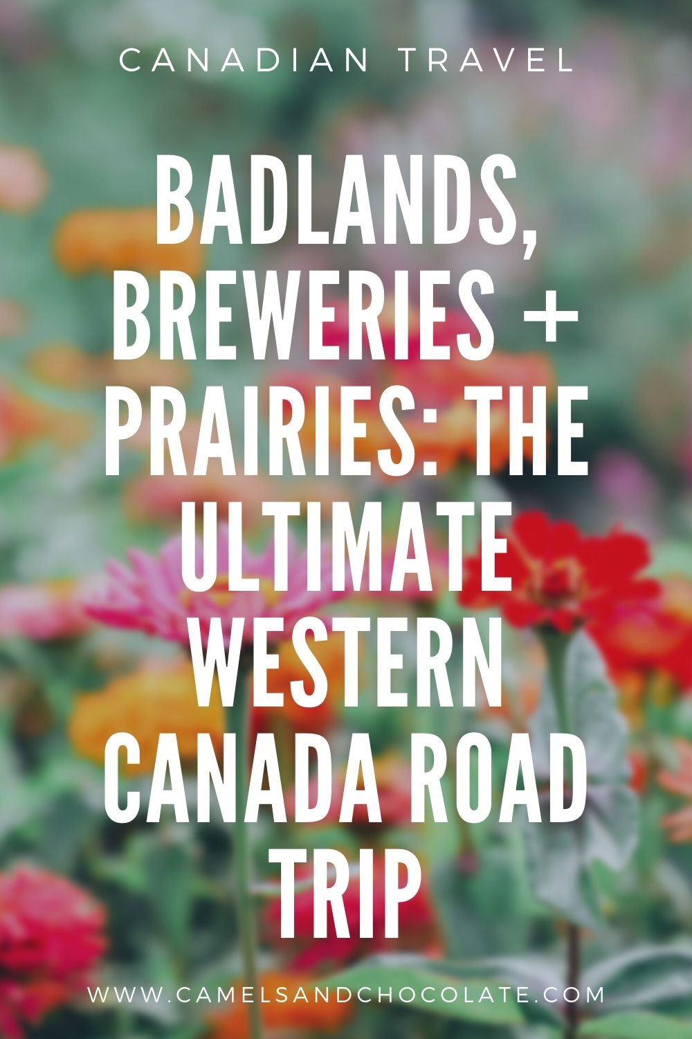 How to Plan the Ultimate Western Canada Road Trip