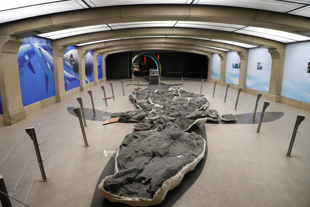 Royal Tyrrell Museum: Dinosaur history in the Canada Badlandst