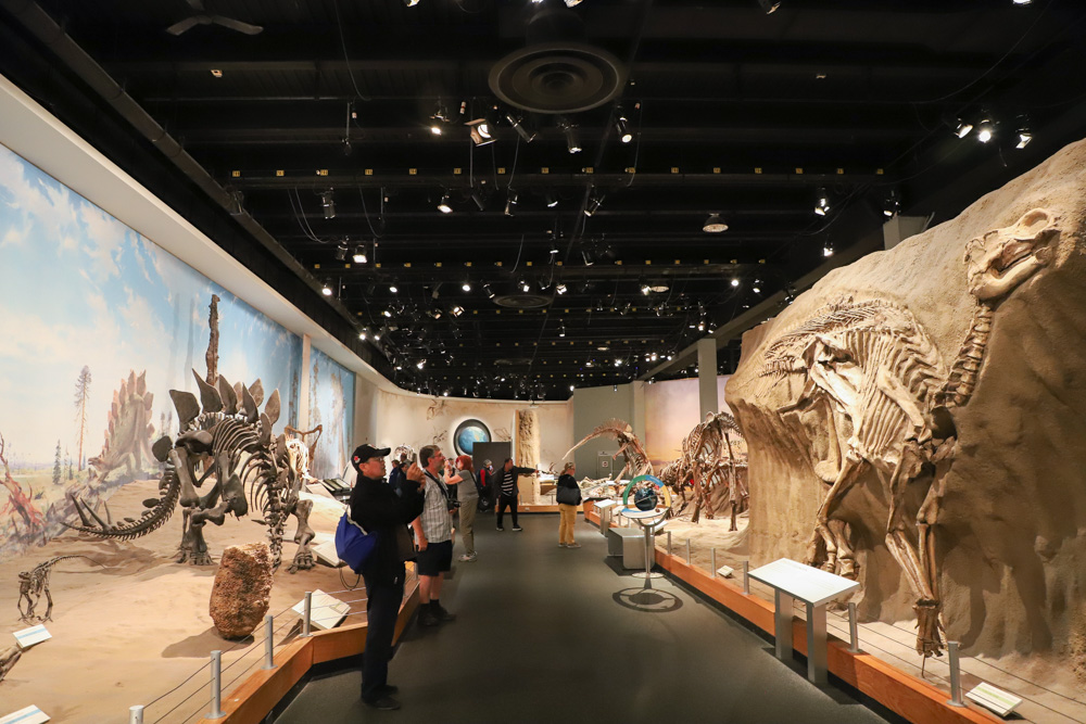 Royal Tyrrell Museum: Dinosaur history in the Canada Badlands