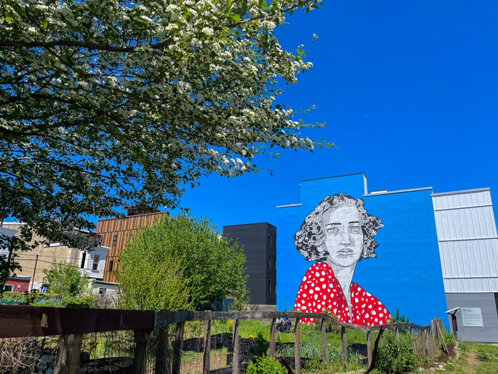 What to Do in Philadelphia: See the murals