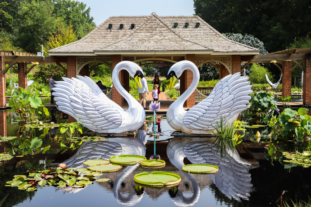 What to do in Huntsville in the summer: Visit the botanical garden