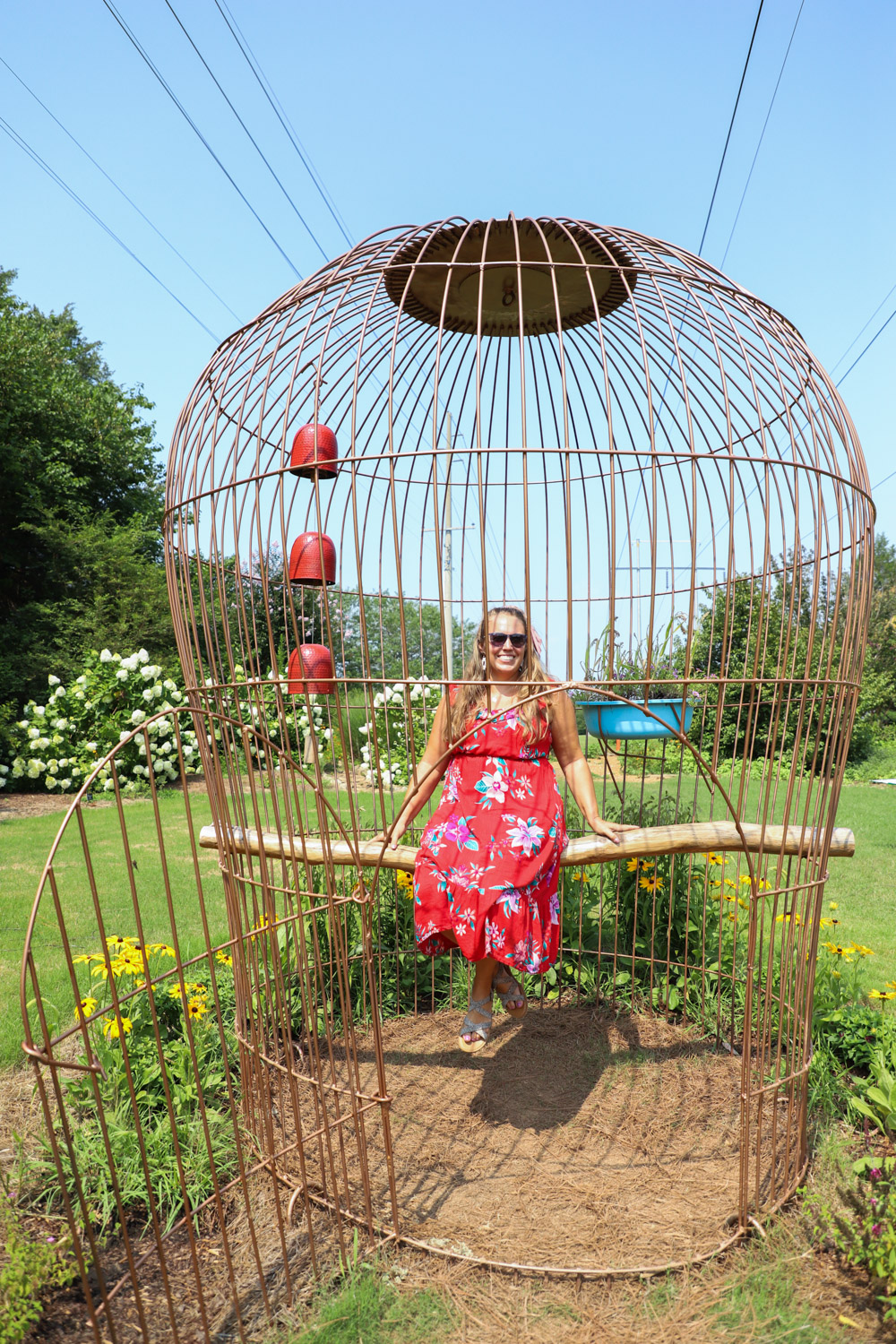 Uncaged bird cage exhibit at the Huntsville Botanical Garden