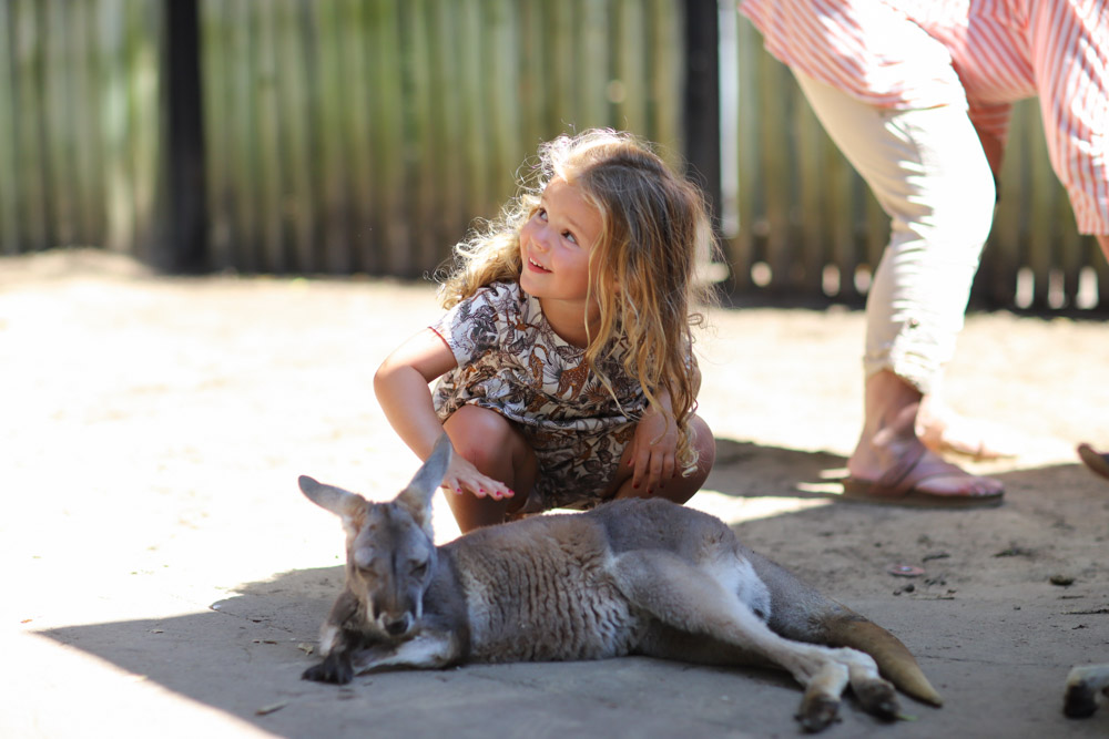 Nashville Zoo