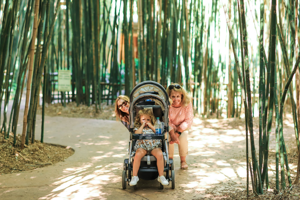 Nashville Zoo