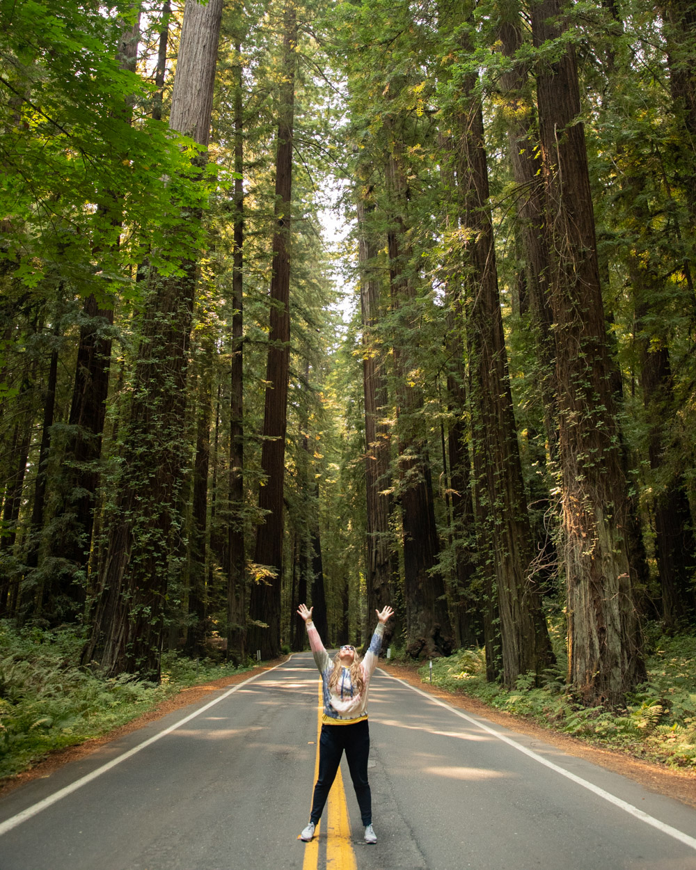 A Road Trip Up the Redwood Coast