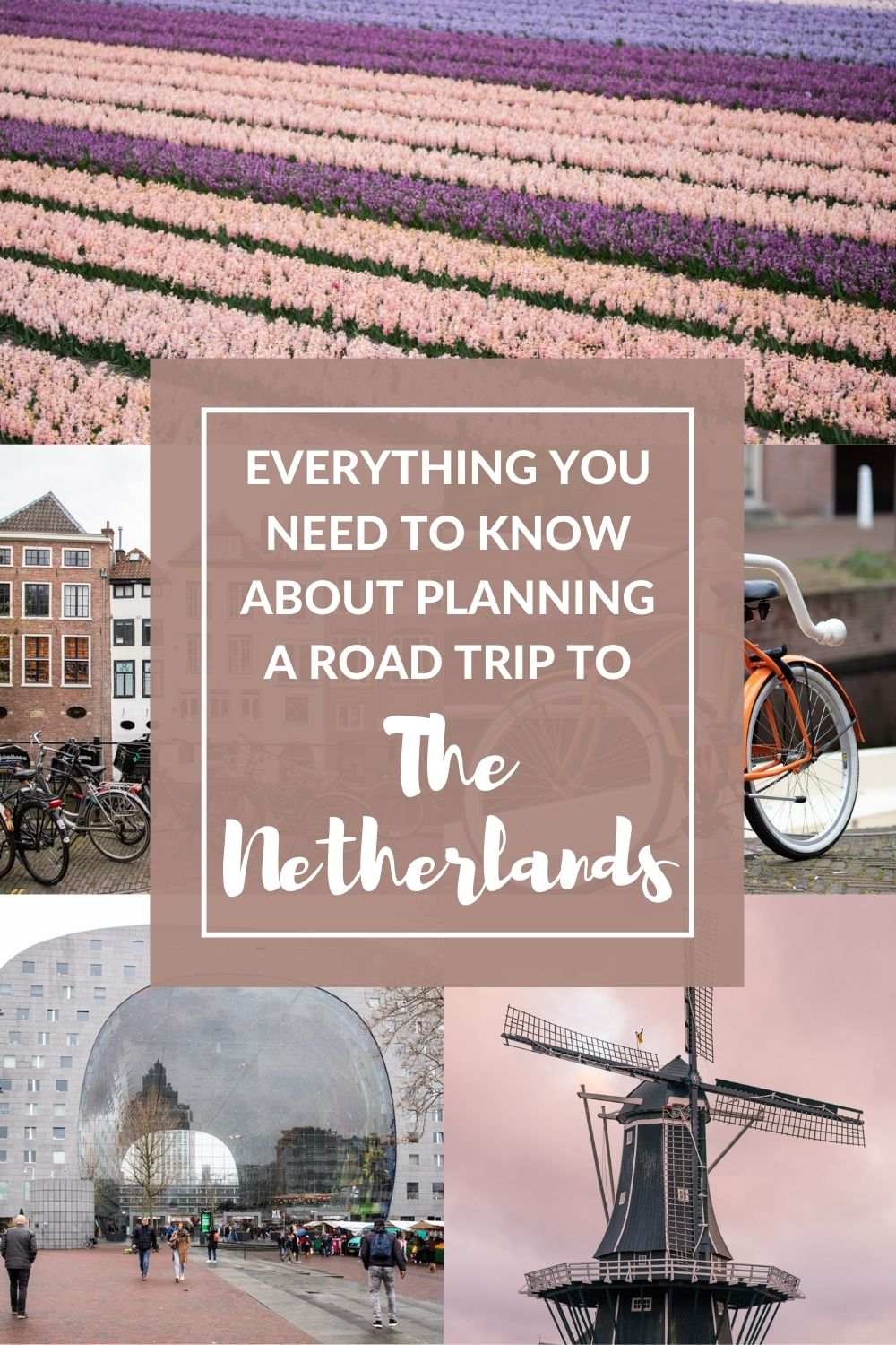Everything You Need to Know About Planning a Road Trip to Holland