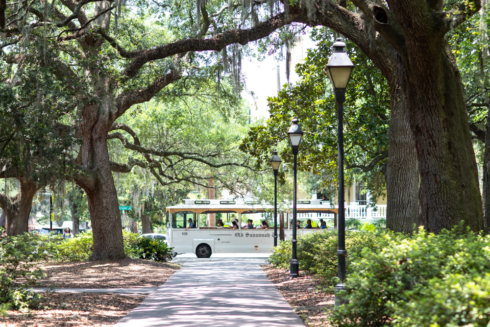 Take a trolley tour of Savannah