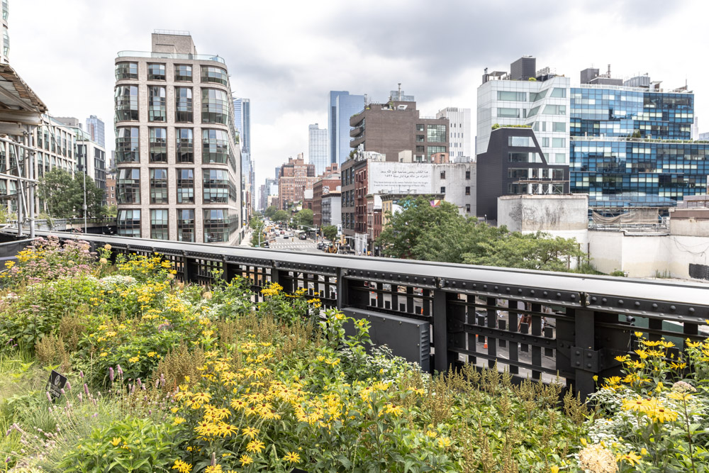 What to Do in NYC: Walk the High Line
