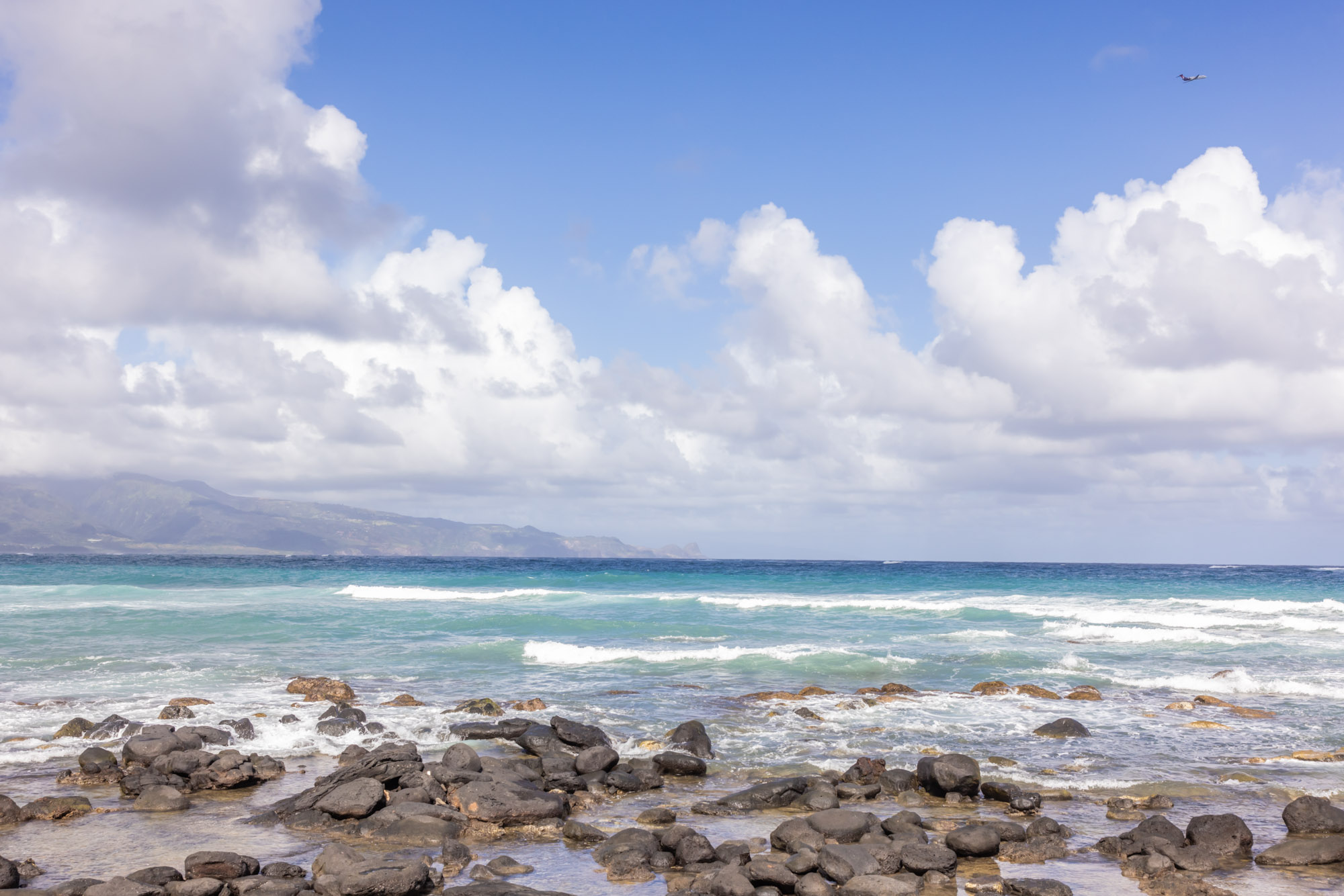 How to see whales in Maui during whale season