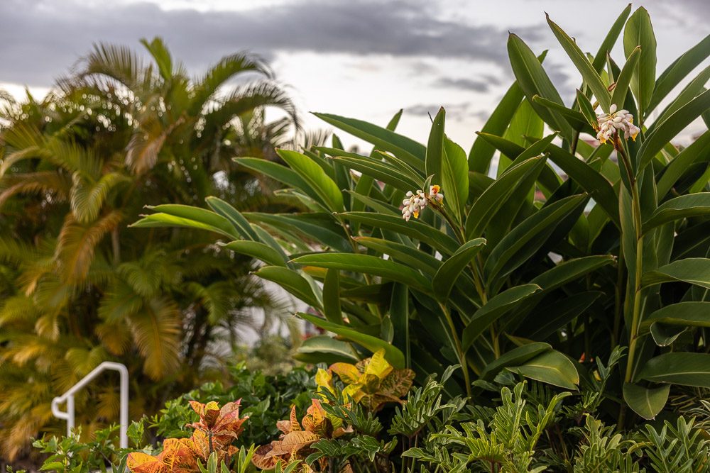 Where to stay in Maui: Fairmont Kea Lani Resort