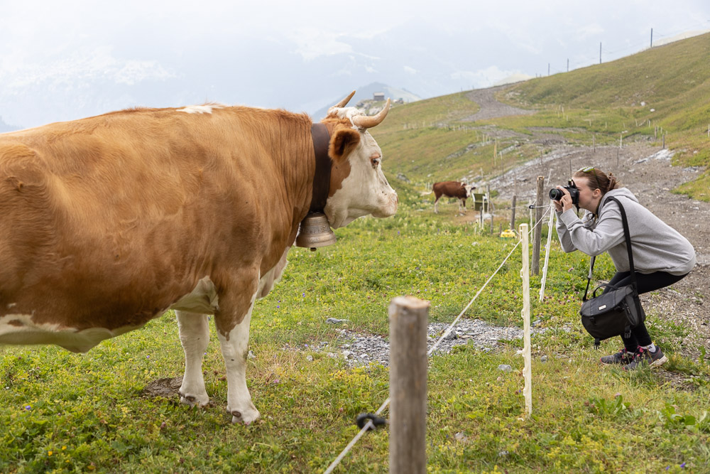 Planning a Summer Trip to Switzerland