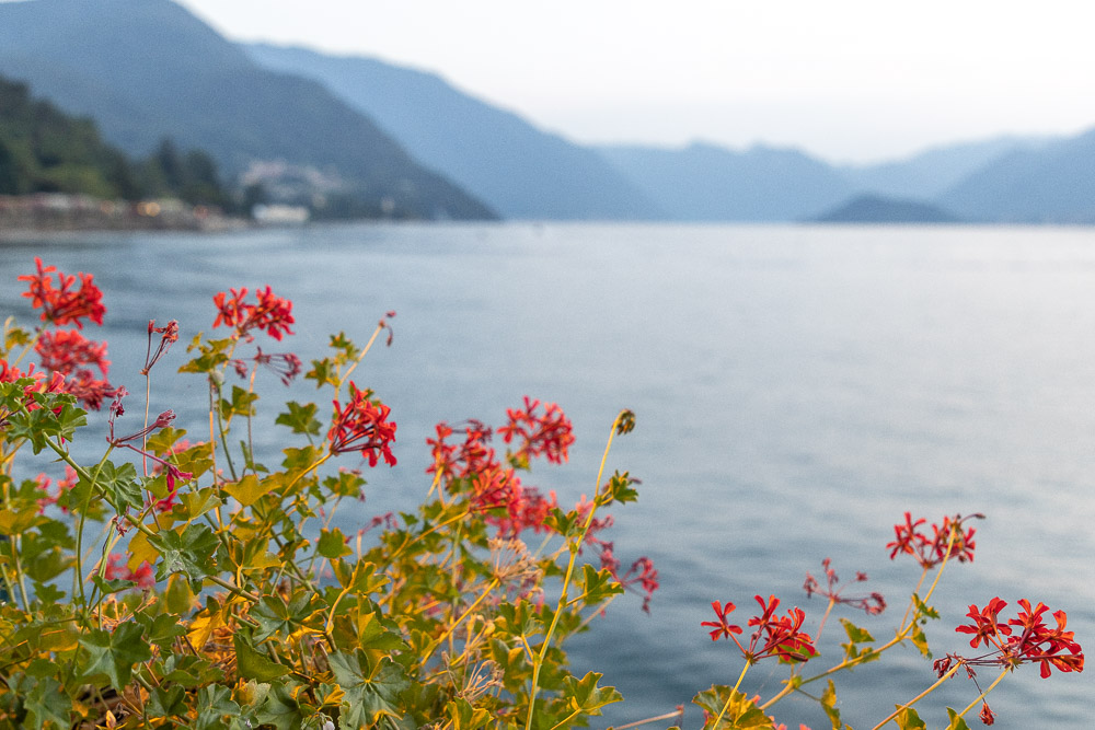 Visiting Lake Como in summer
