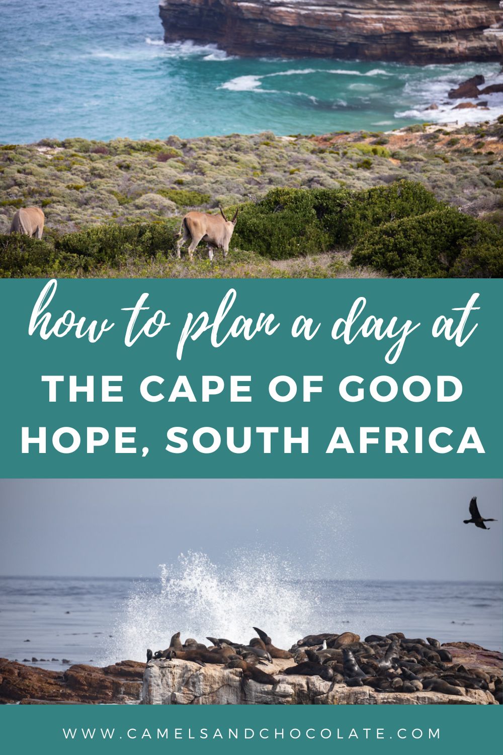 How to Visit Cape of Good Hope in South Africa
