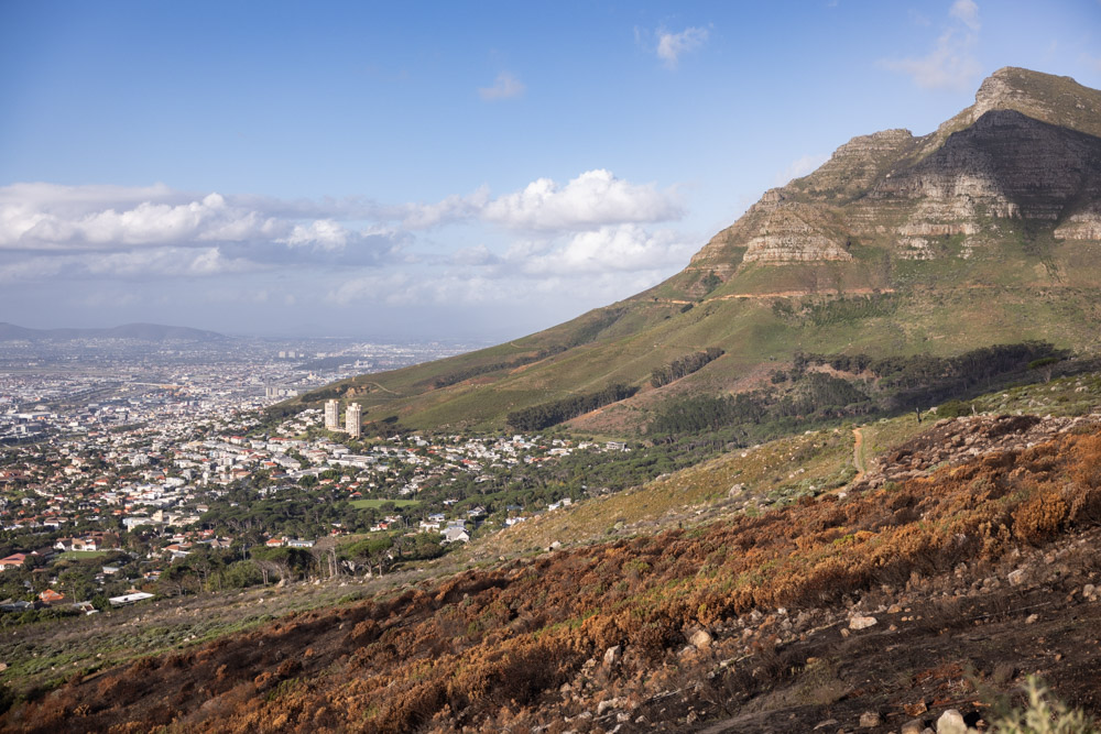 Should I Go up Table Mountain in Cape Town?