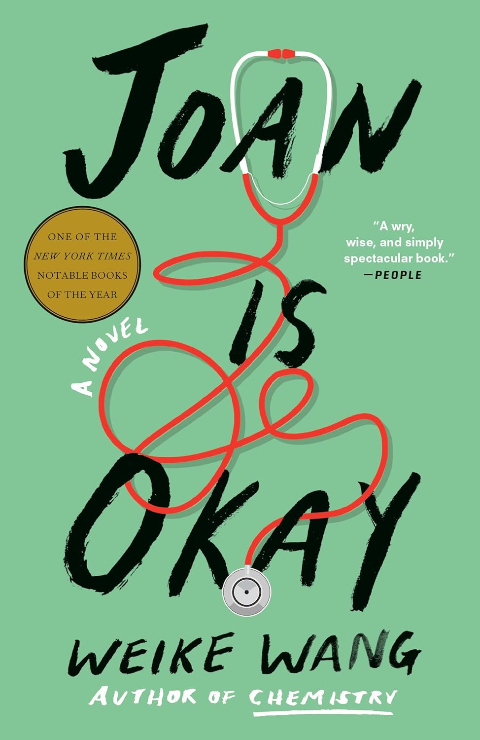 Best Fiction of the Year: Joan is Okay