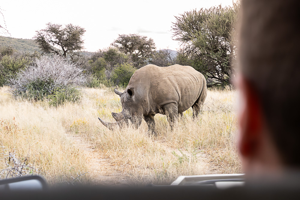 Planning an epic Africa vacation in Namibia