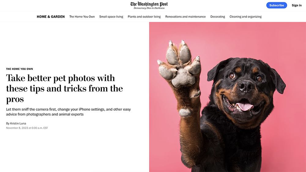 How to photograph pets for the Washington Post