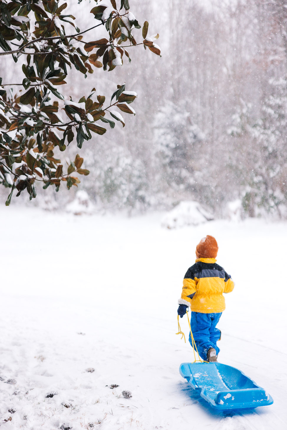 Tullahoma, Tennessee snow