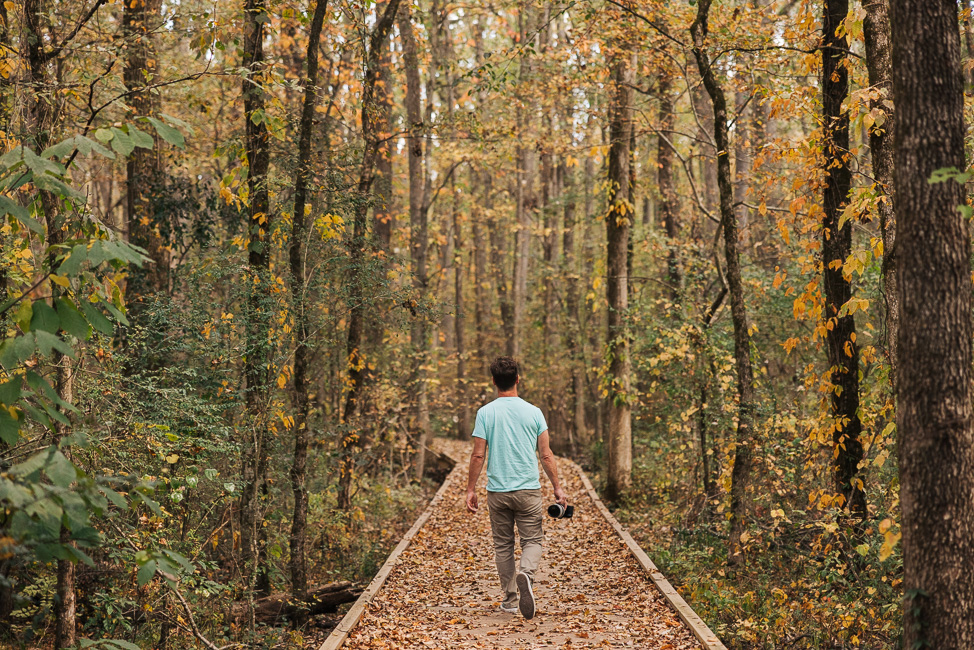Where to see birds near Huntsville, Alabama