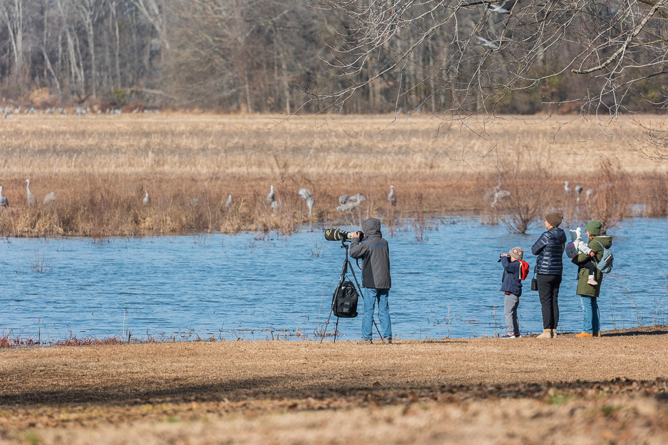 Birding tips in North Alabama | copyright Odinn Media