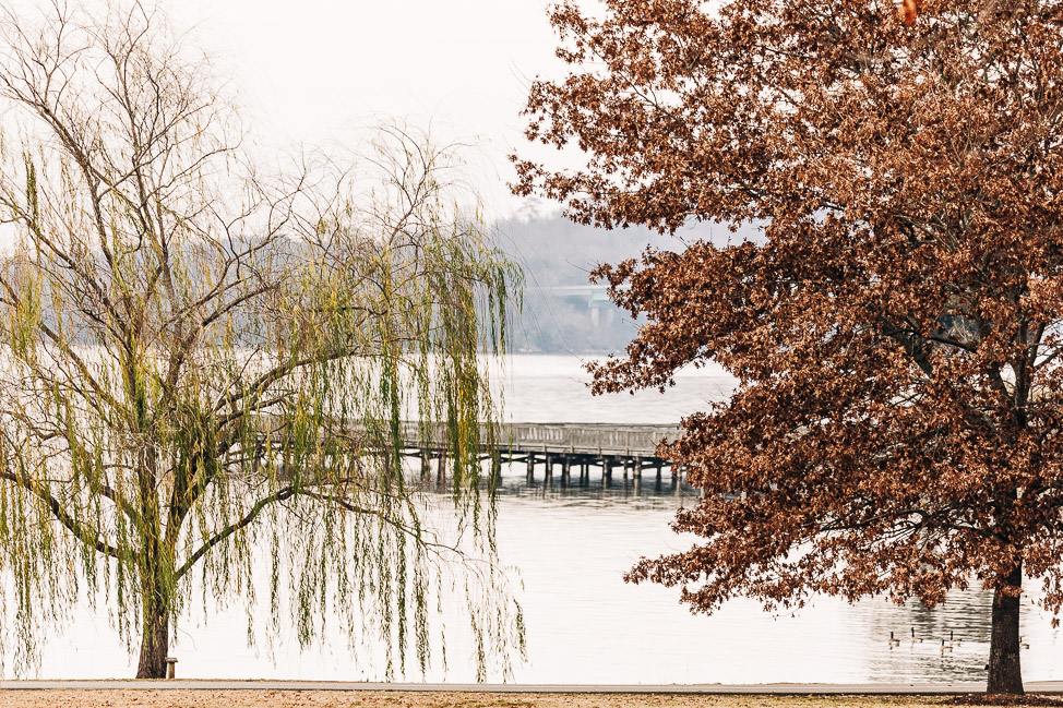 Where to Go Birding in North Alabama | copyright: Odinn Media